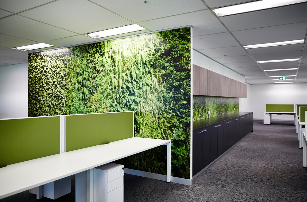 green plant life wall decals in office.